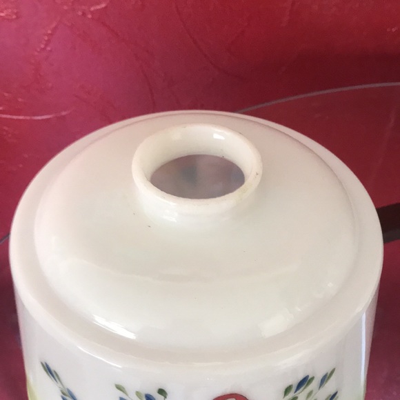 Vtg Hand Painted Parakeets Frosted Glass Ceiling Light Globe - Picture 2 of 9